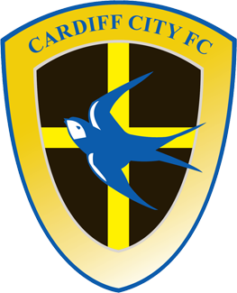 Cardiff City Playoff final 2010